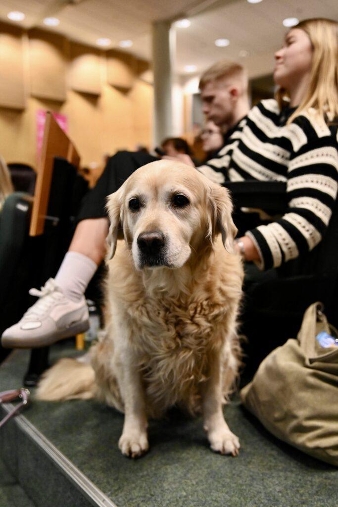 Kohting Maksudega 20.11.2025